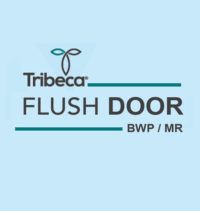 Plywood Manufacturers in Gujarat