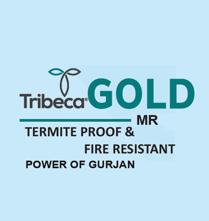 Plywood Manufacturers in Gujarat