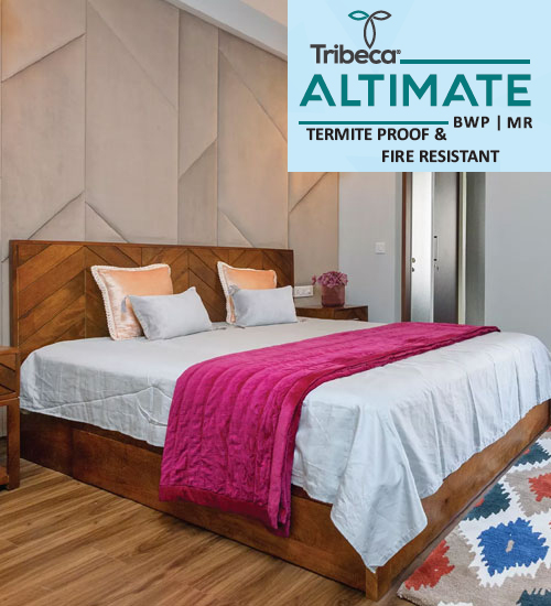 Best Plywood Manufacturers